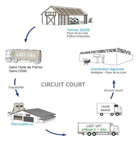 circuit_court_edde
