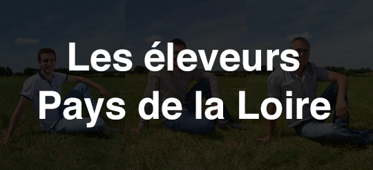 Éleveurs - En Direct des Eleveurs - Pays de la Loire