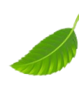 feuille2